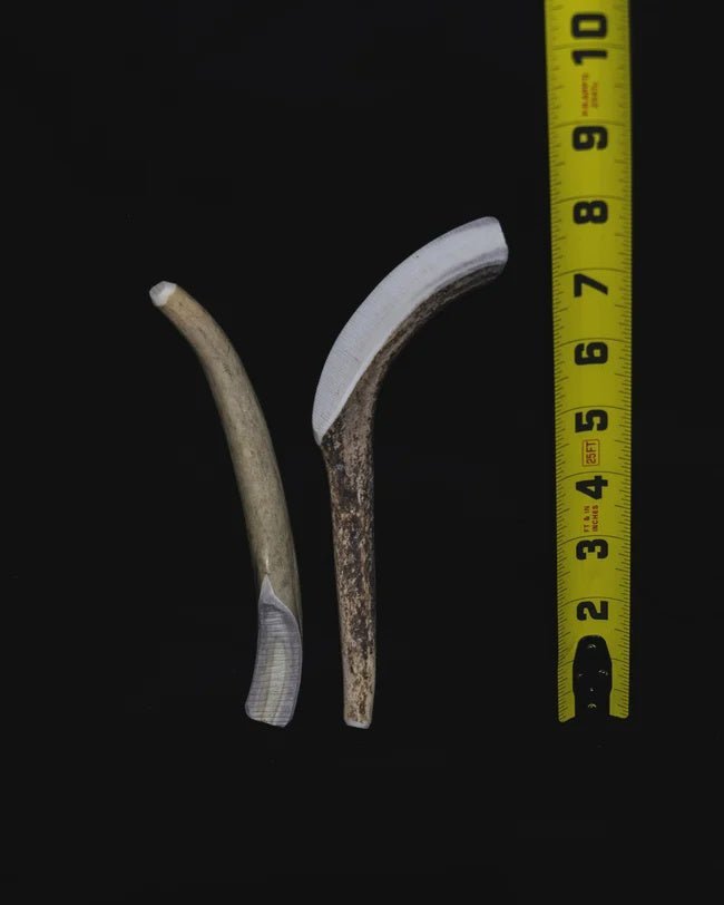 DOG CHEW SMALL - Tool Town USA