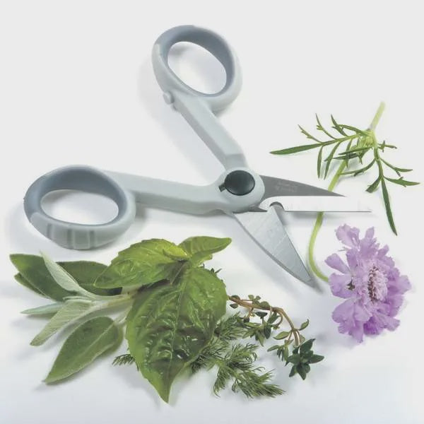 KITCHEN SCISSORS