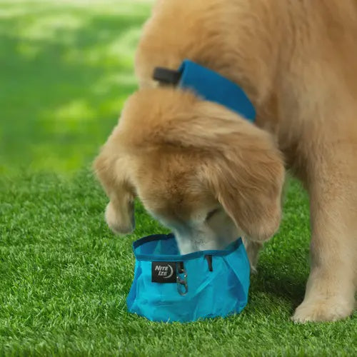 COLLAPSIBLE DOG BOWL