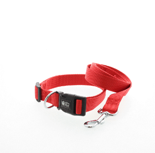 DOG COLLAR, LG